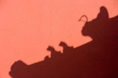 《COD19》新角色“忍者神龟”反派施莱德现已推出